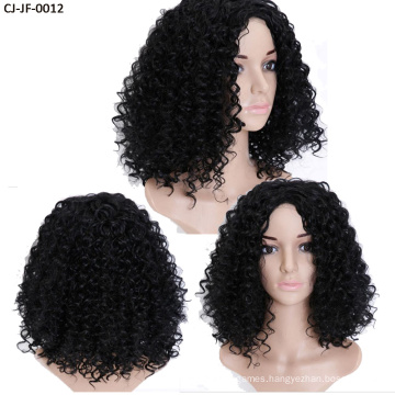 Fancy New Short Curly Hair Chemical Fiber High Temperature Silk Small Roll Afro Wig Cover Human Hair Full Lace Wigs for Women